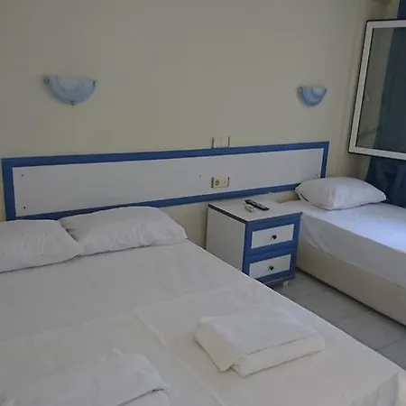 Sarsilmaz Hôtel économe Gurece